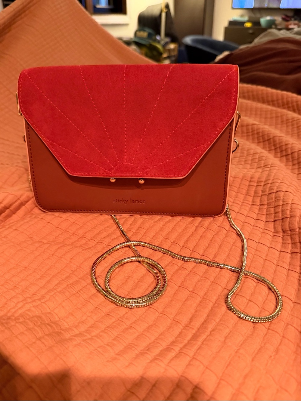 Sticky Lemon Red Suede & Brown Leather Crossbody Bag